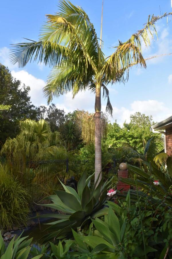 Bed and breakfast Harbour View Retreat Mangonui Extérieur photo